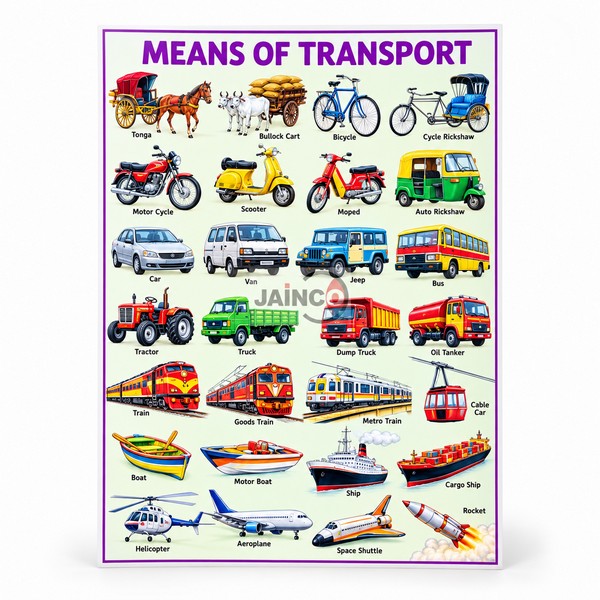 Means of Transport Chart